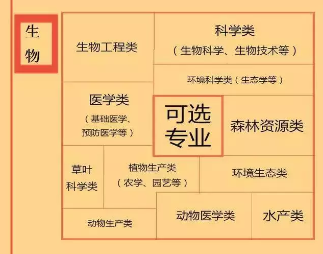根據(jù)特長選專業(yè)，高中各門課程對應大學專業(yè)實用盤點，志愿填報的你不可錯過！
