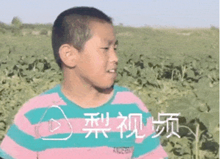 這位11歲男孩的暑假生活，被網(wǎng)友狂贊