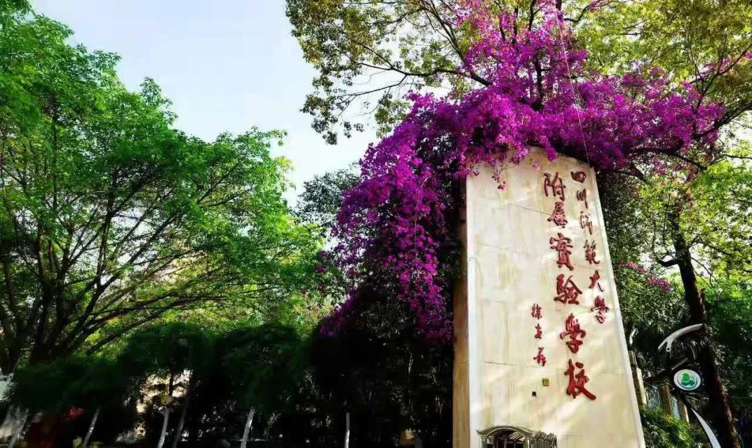 又一所官宣升級！成都一貫制學校有哪些了？